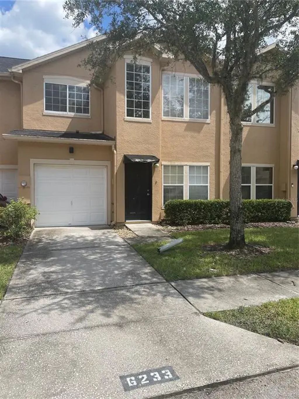 6233 Ashbury Palms Drive, TAMPA