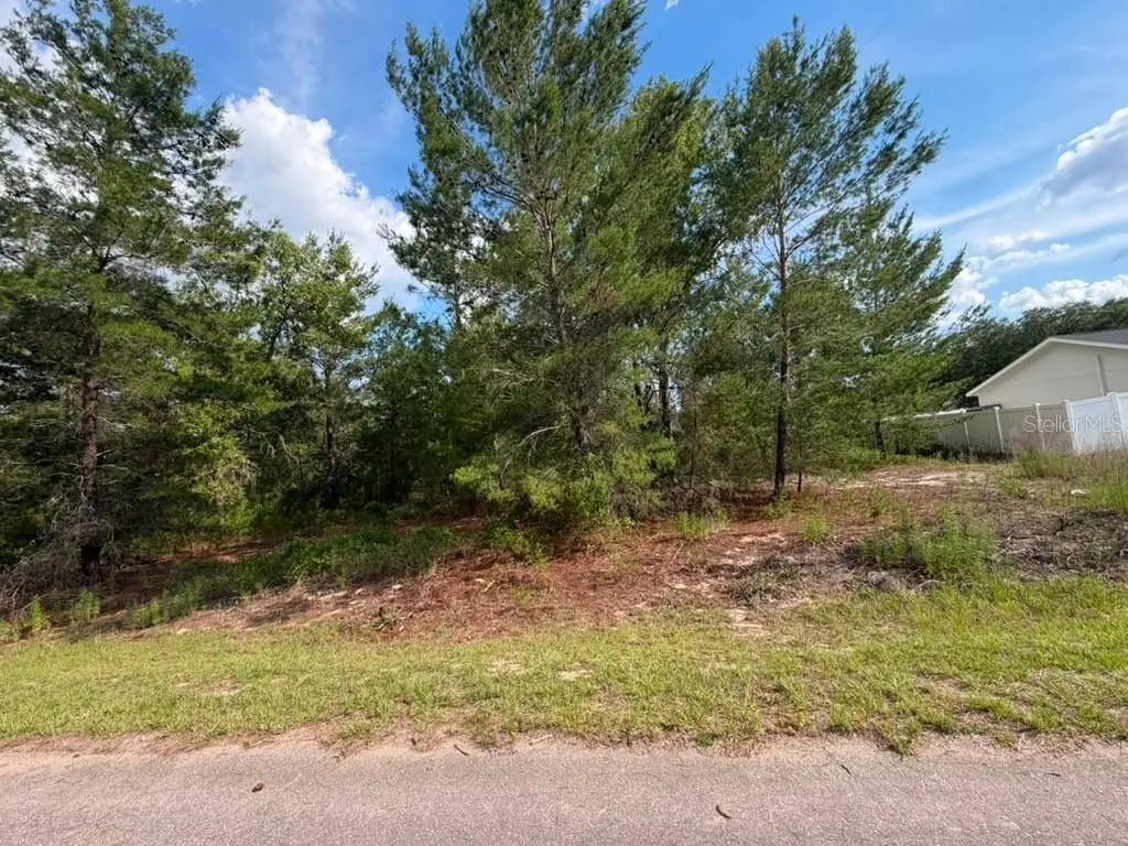 22 Fisher Run Lane, OCKLAWAHA