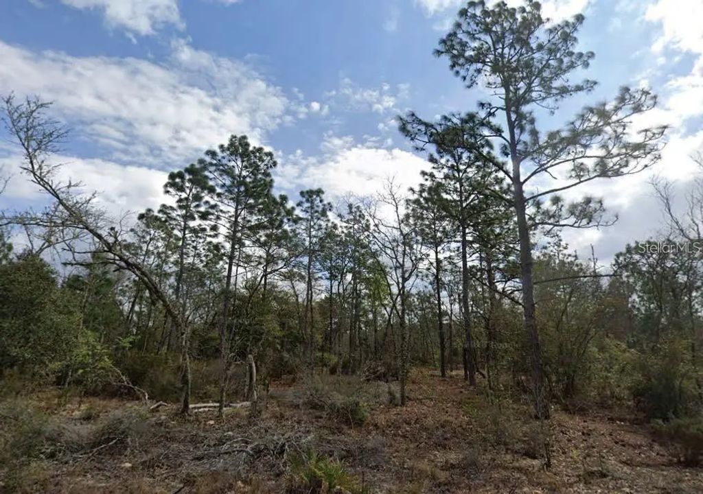 Park Street, INTERLACHEN