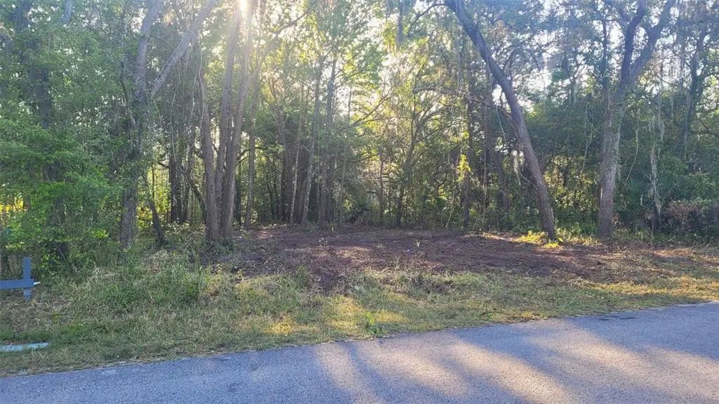 Marley Avenue, NEW PORT RICHEY