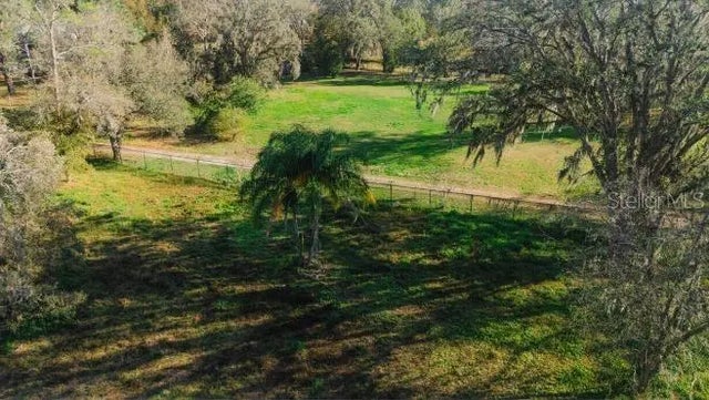 Avonwood Street, TAMPA