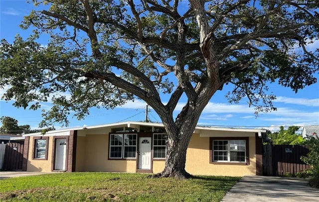 4409 W Paris Street, TAMPA