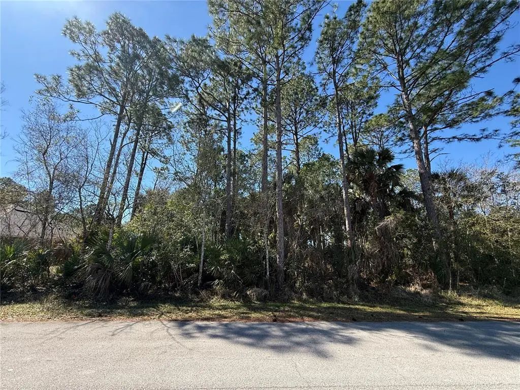 28 Phoenix Lane, PALM COAST