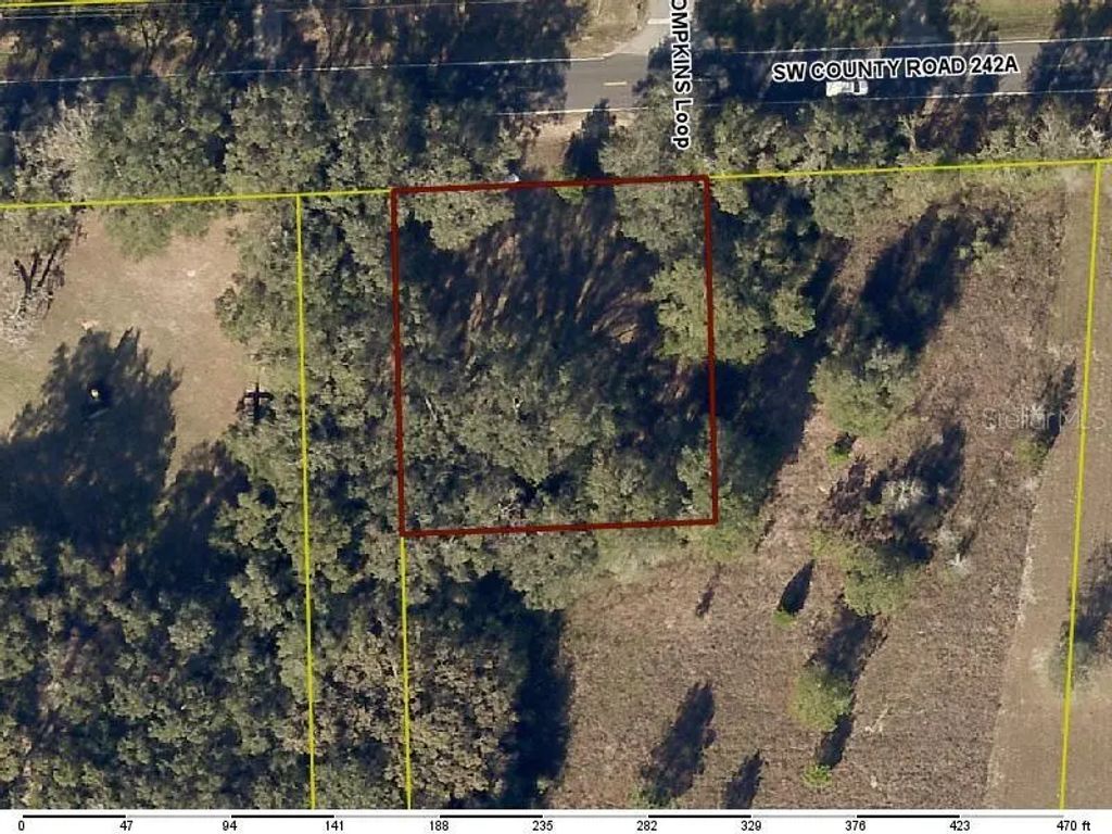520 Sw County Road 242a, LAKE CITY
