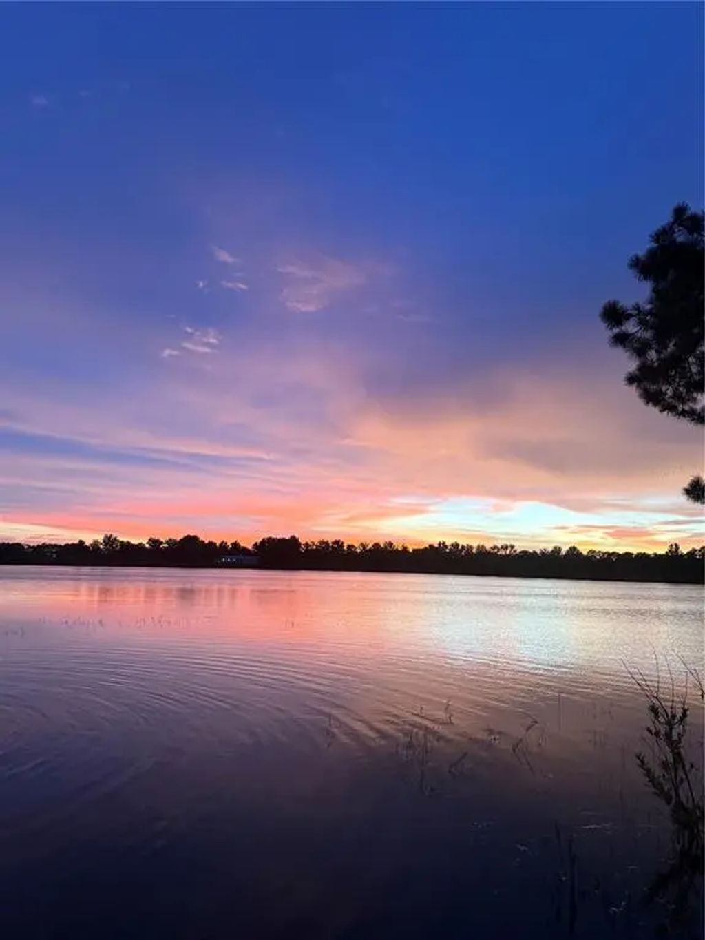 9 of 16 - 3412 Lake Diane Road, TAVARES, FL