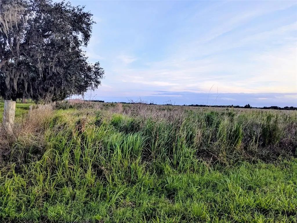 Tom Bryan Rd, ZOLFO SPRINGS