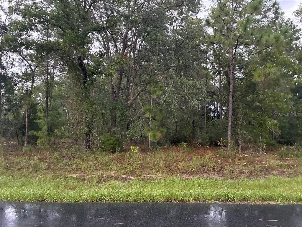 7351 N Waycross Way, Citrus Springs