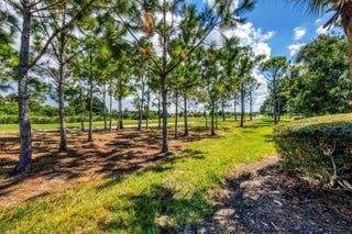 Gulf Shores Realty: 34 a4d744b2e77bab2c4df82eca825c100f s