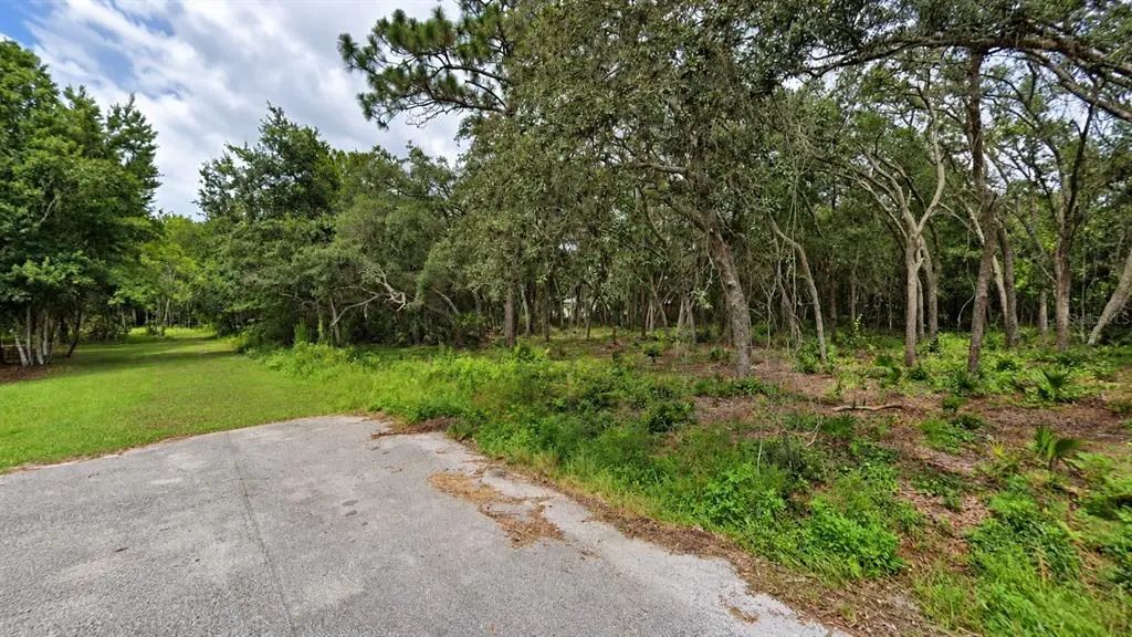 Orland Street, NEW PORT RICHEY