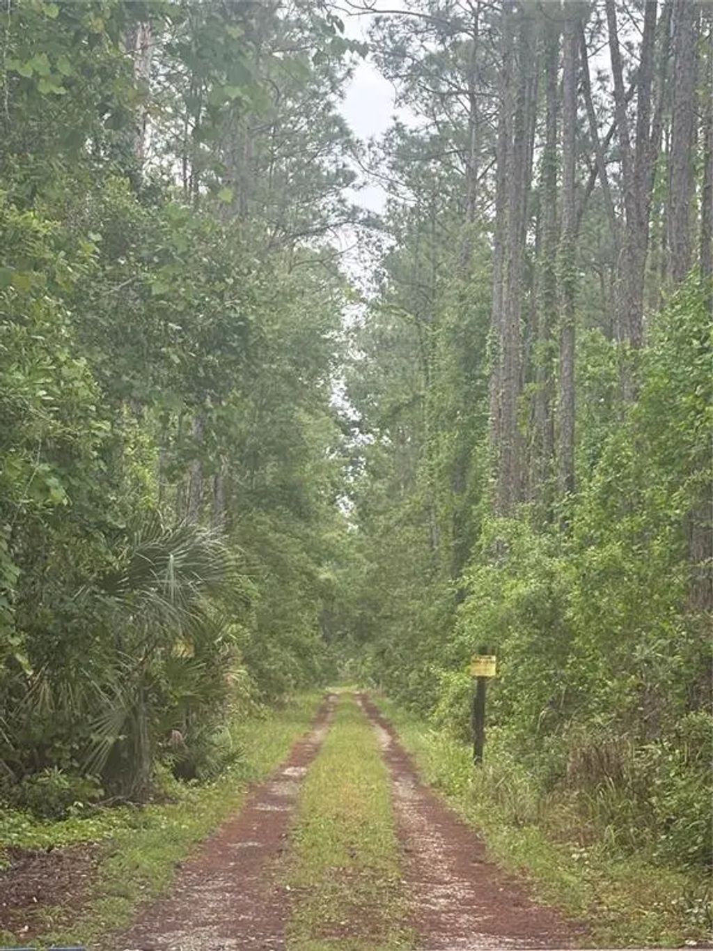 No Street, DELAND