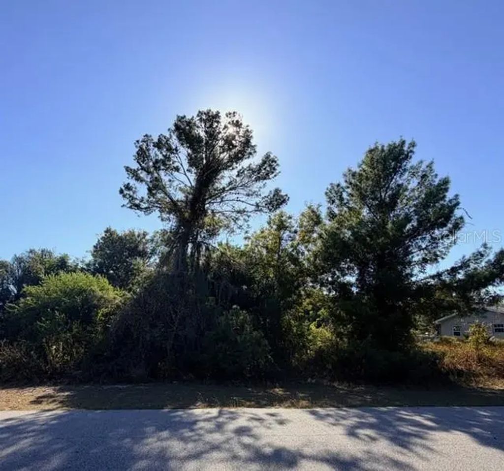 254 Loquat Road Nw, LAKE PLACID