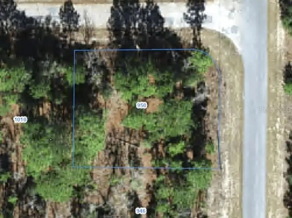 950 W Cary Drive, CITRUS SPRINGS