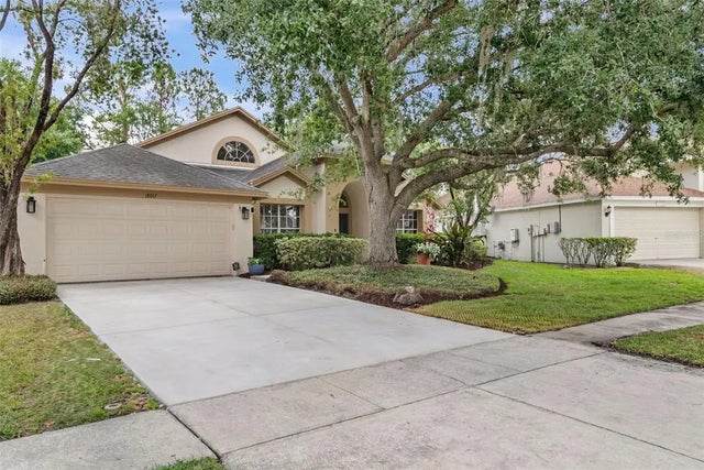 18017 Palm Breeze Drive, TAMPA