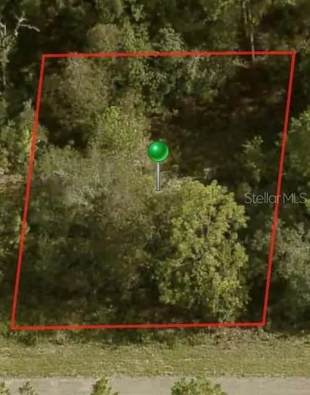 1729 W Pendleton Street, CITRUS SPRINGS