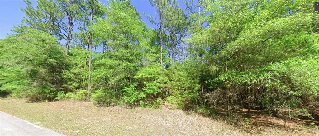 Sw 201 Street, DUNNELLON