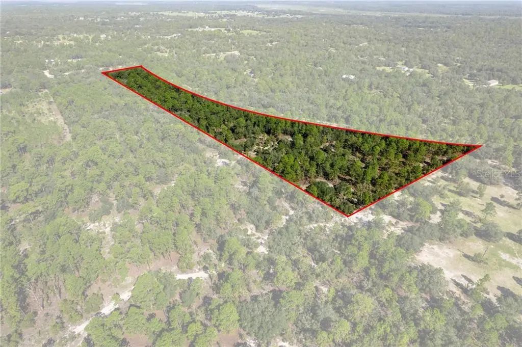 10806 N Statue Point, Dunnellon