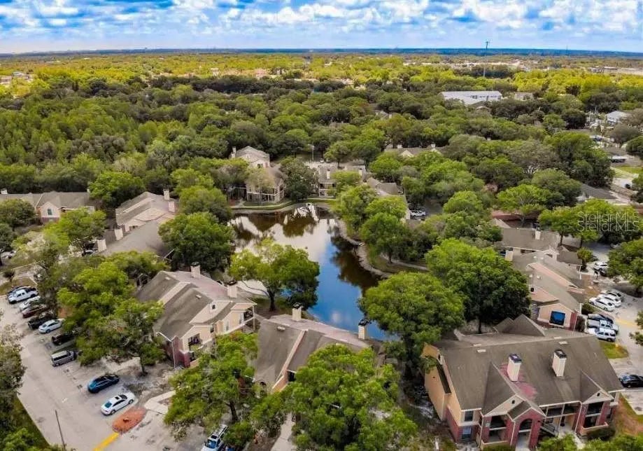 8649 Fancy Finch Drive 103, TAMPA