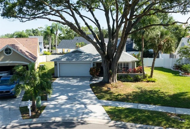 14515 Clifty Court, TAMPA