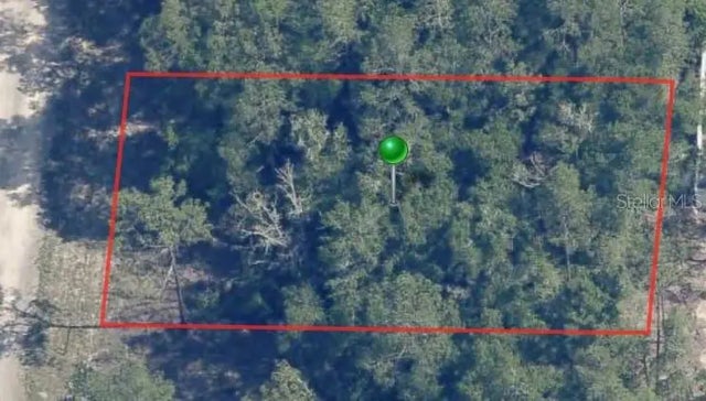 9861 N Baldwin Terrace, DUNNELLON