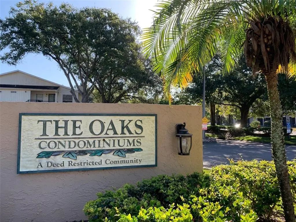 14225 Shadow Moss Lane 102, TAMPA