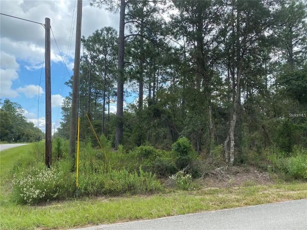 Sw Buena Vista Road, DUNNELLON