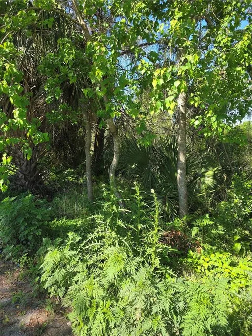 226 Walnut Avenue, ORANGE CITY