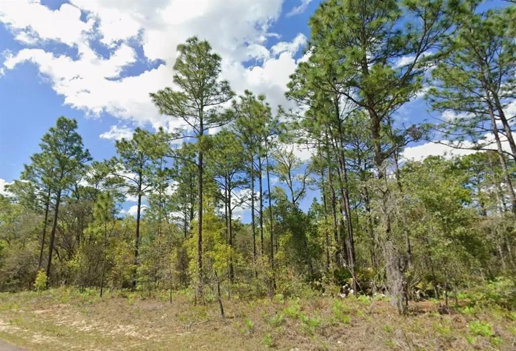2193 W Galaxy Lane, Dunnellon