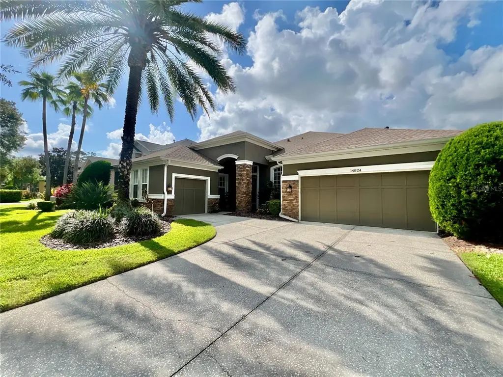 14824 Tudor Chase Drive, TAMPA
