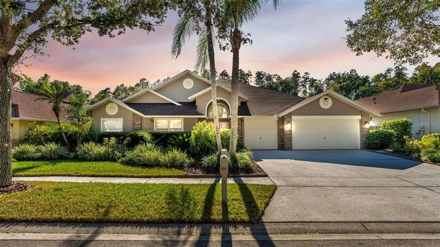 8710 Tantallon Circle, TAMPA