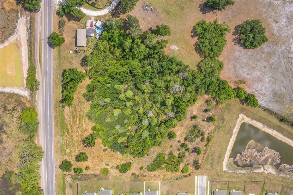 Corner Of Paul S Buchman Hwy & Forrest Plum Ct, ZEPHYRHILLS