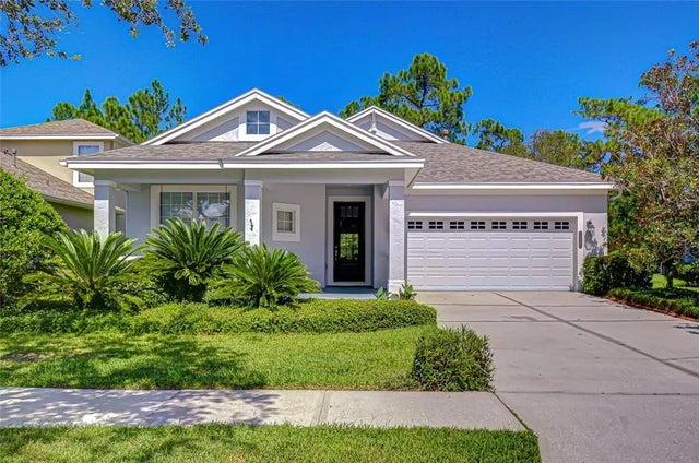 20008 Heritage Point Drive, TAMPA