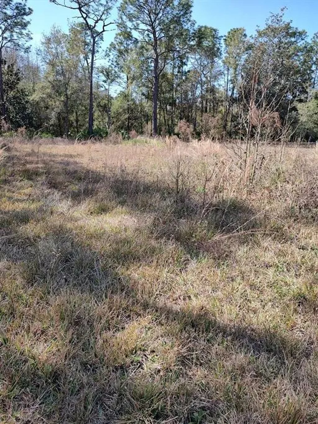 7636 Narcissus Lane, Homosassa