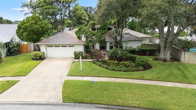 14210 Clarendon Drive, TAMPA