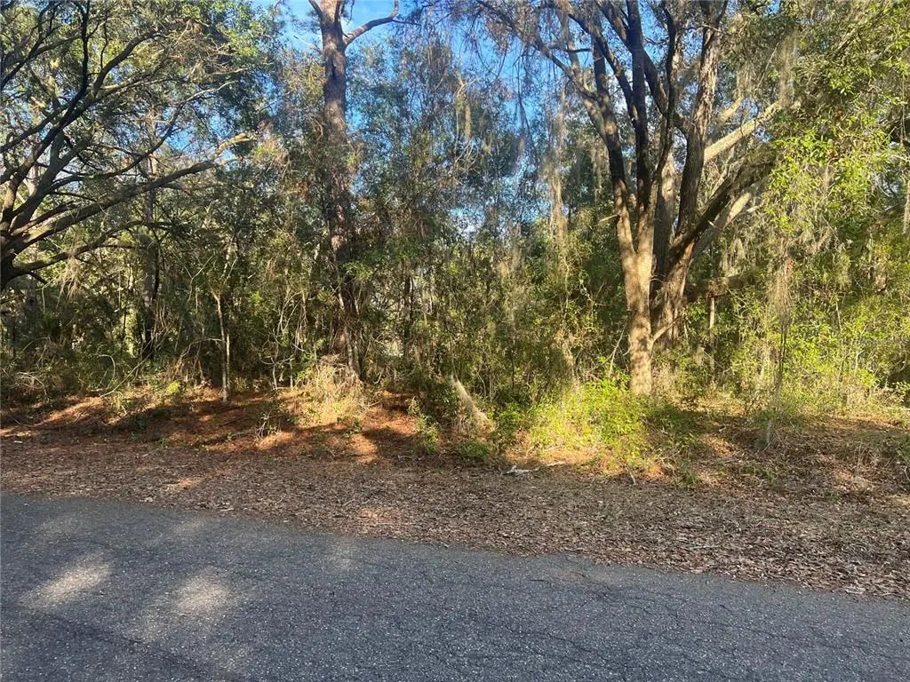 Guava Terrace, OCKLAWAHA