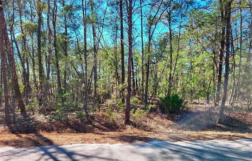 76 Fisher Run Terrace, OCKLAWAHA