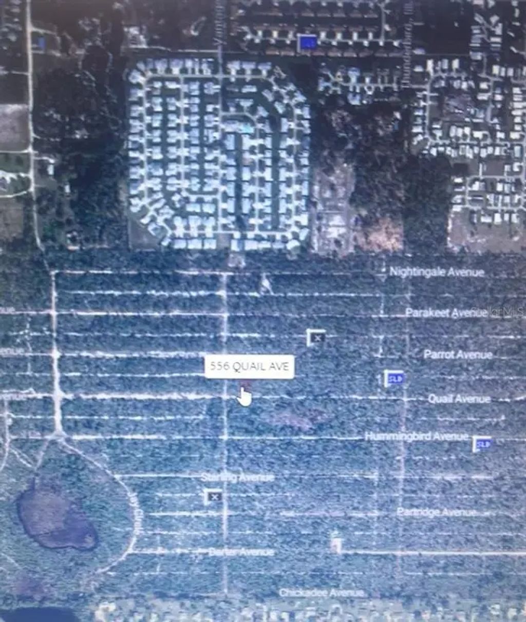 556 Quail Avenue, SEBRING