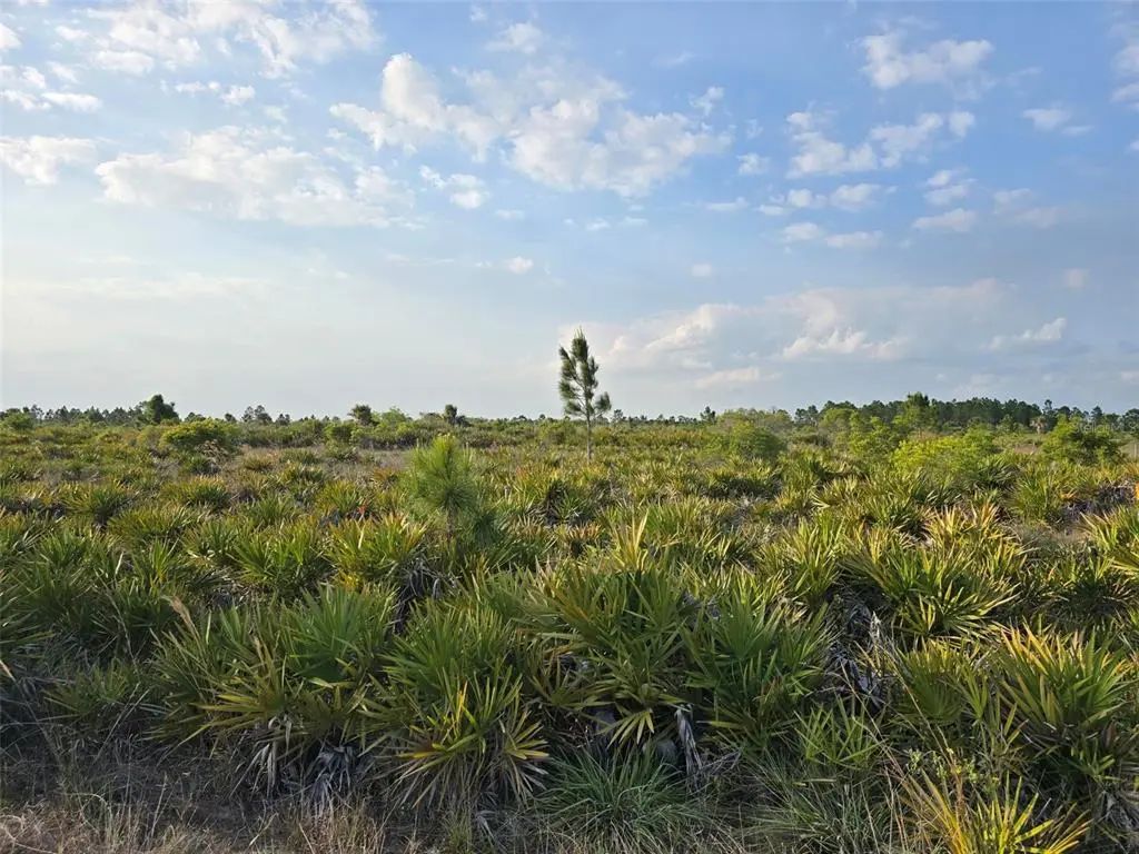 49173 Bermont Road, PUNTA GORDA