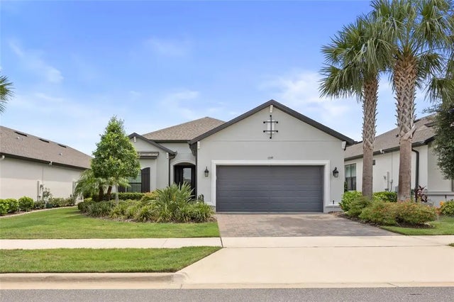 1339 Zeek Ridge Street, CLERMONT