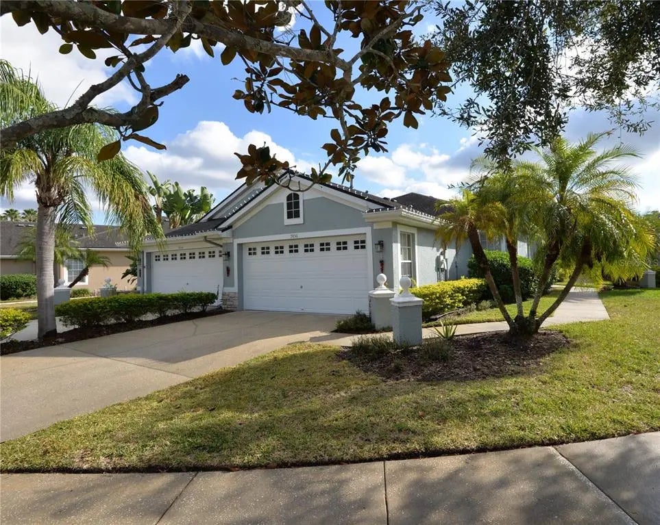 9856 Gingerwood Drive, TAMPA