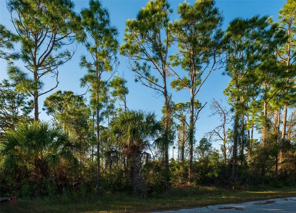 8281 Dimstead St., PORT CHARLOTTE