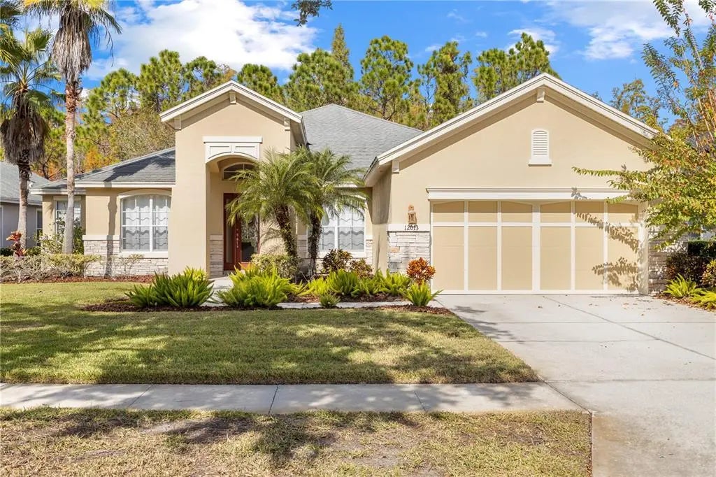12013 Meridian Point Drive, TAMPA