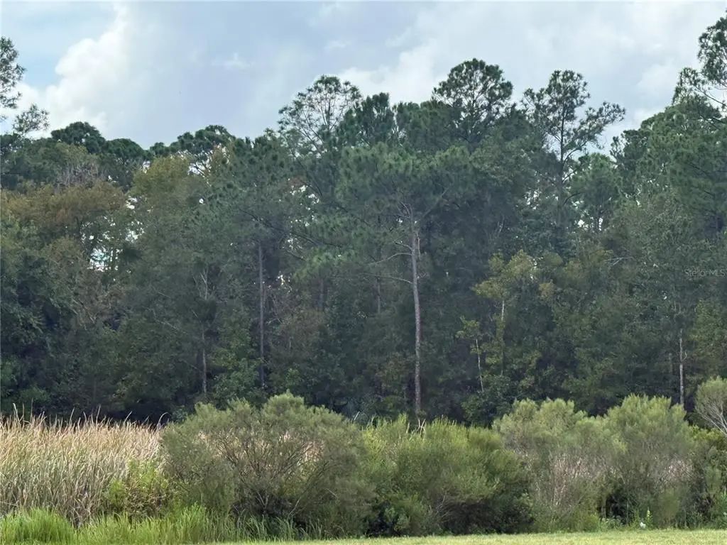 10855 W Homosassa Trail, HOMOSASSA
