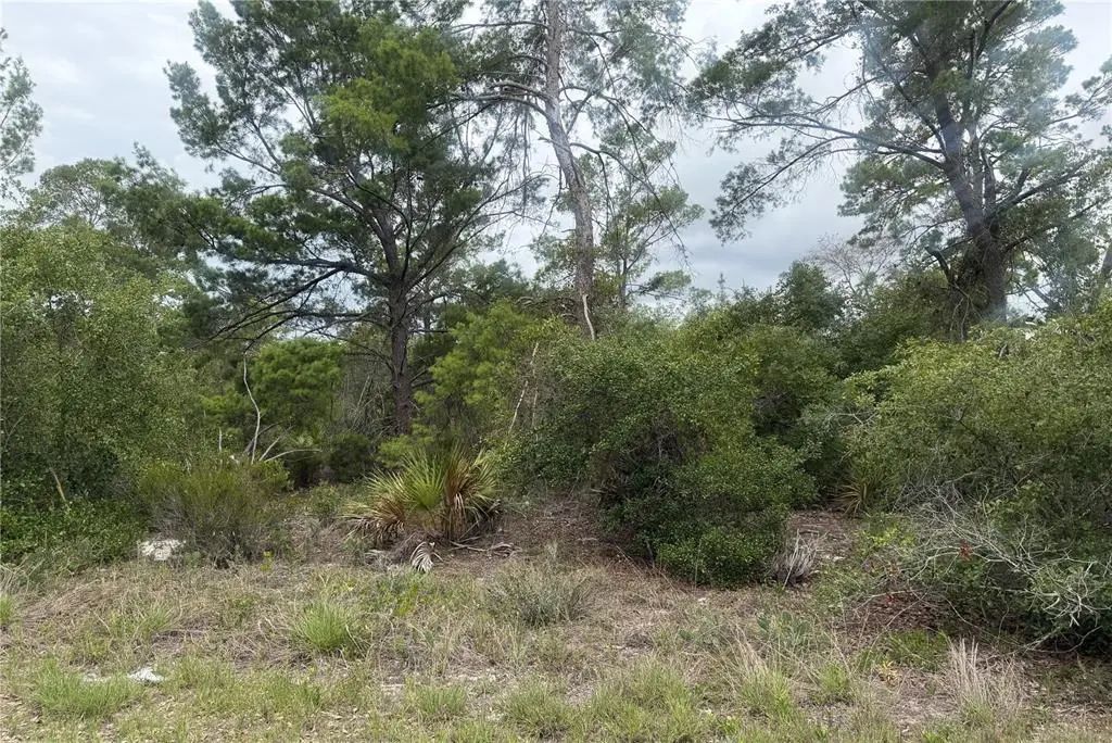 105 Hoover Avenue Ne, LAKE PLACID