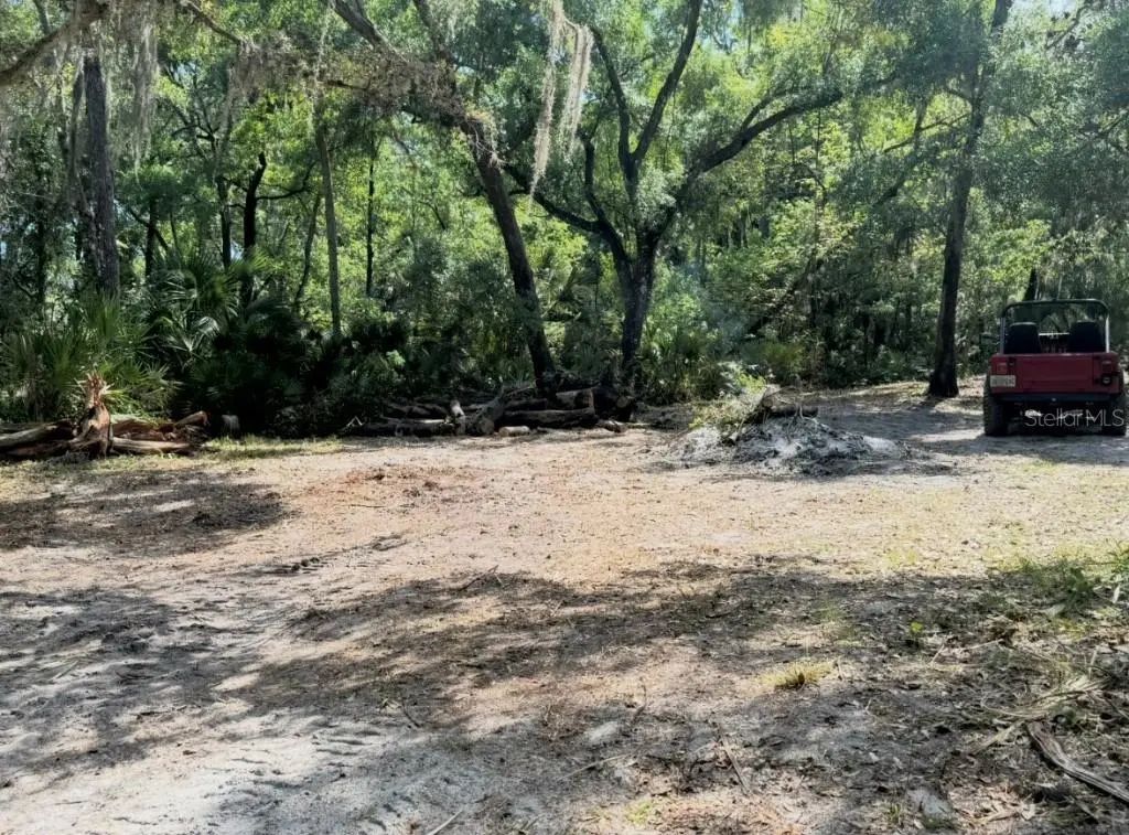 901 Shoals Landing Drive, BRANDON