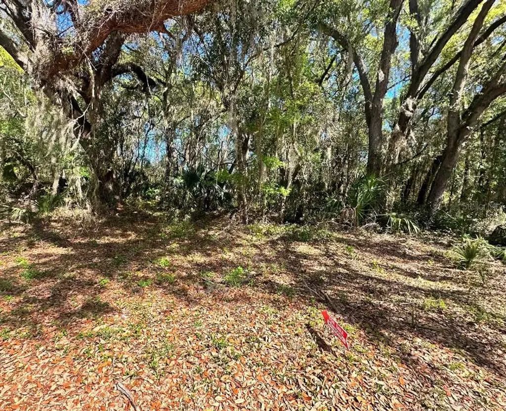 Guava Terrace, OCKLAWAHA