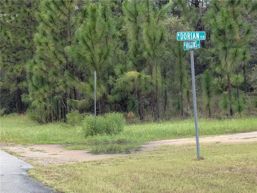 6443 N Dorian Terrace, DUNNELLON