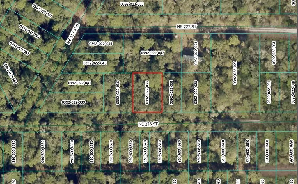 Ne 226th Street, ORANGE SPRINGS