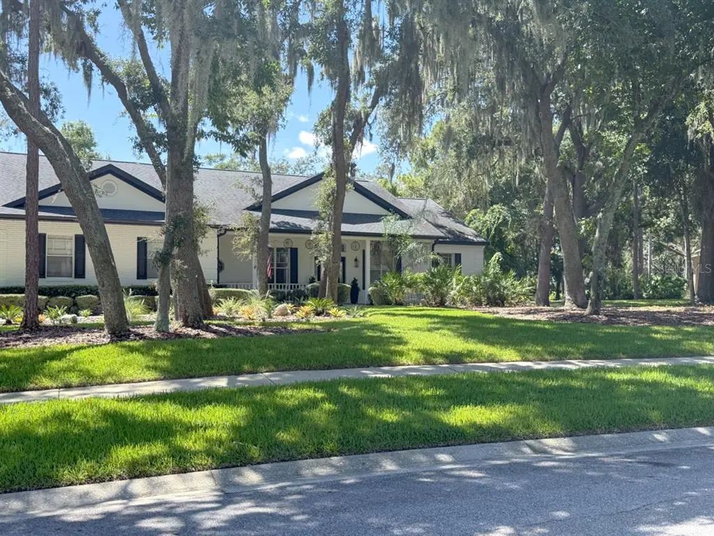 5806 Audubon Manor Boulevard, LITHIA