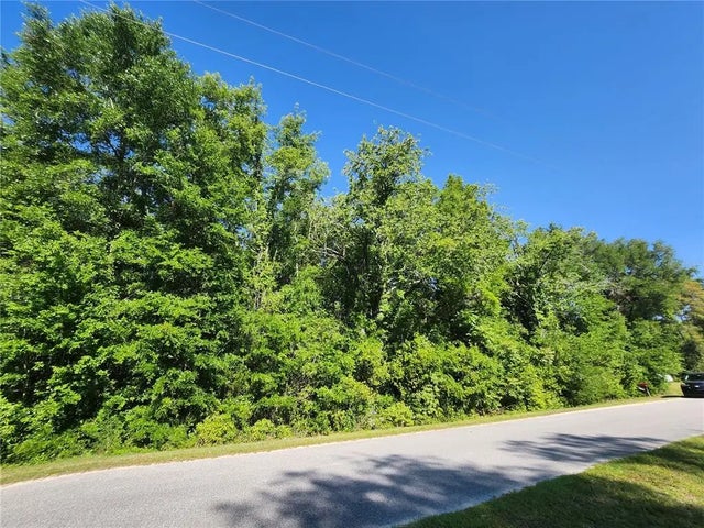 Tbd Sw Yazoo Court, DUNNELLON