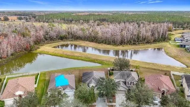 10918 Ancient Futures Drive, TAMPA